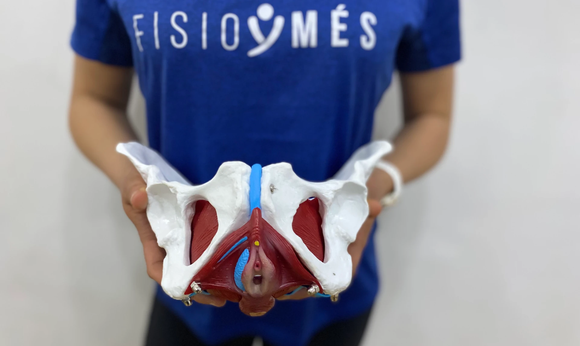 Fisioymés